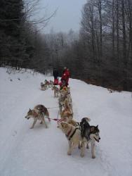 Balade en traineau