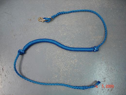 LIGNE DE TRAIT AMORTIE VTT BLEU  1 CHIEN