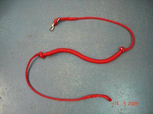 LIGNE DE TRAIT  AMORTIE VTT ROUGE  1 CHIEN