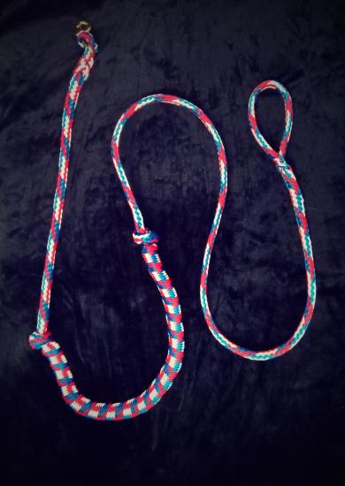 LIGNE  DE  TRAIT  AMORTIE VTT 1 CHIEN bleu blanc rouge