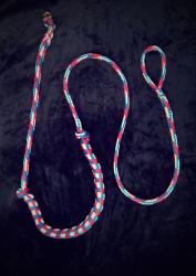 LIGNE  DE  TRAIT  AMORTIE VTT 1 CHIEN bleu blanc rouge